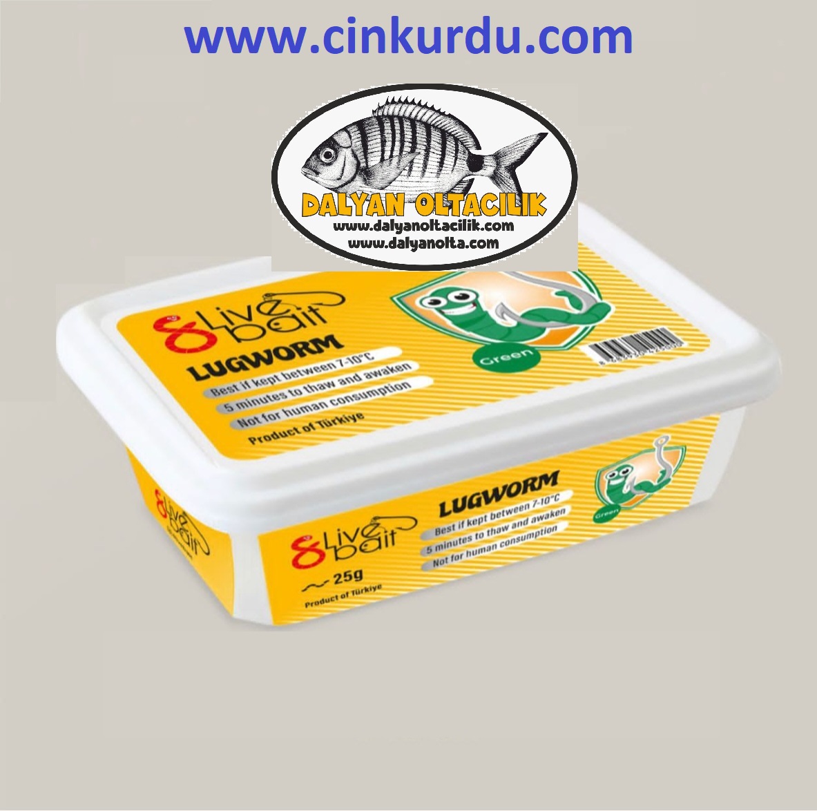 cin-kurdu, live bait lugworm