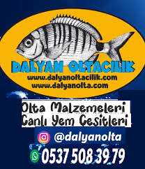 Pater Noster Dip Takımları ve Dalyan Oltacılık ile Verimli Av